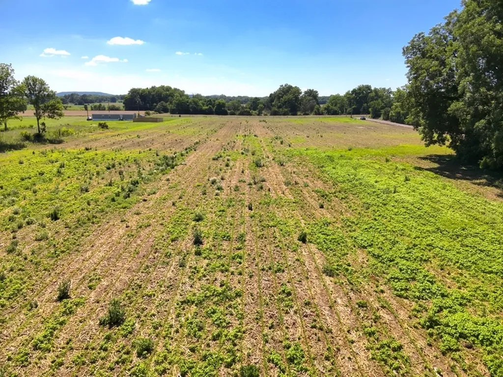 0 Lee James Road Danville AL 35619