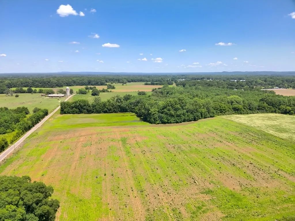 0 Lee James Road Danville AL 35619