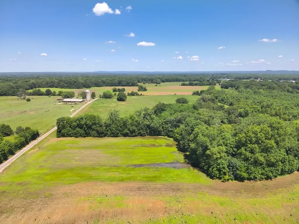0 Lee James Road Danville AL 35619