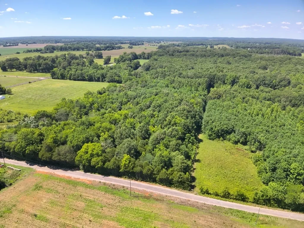 0 Lee James Road Danville AL 35619