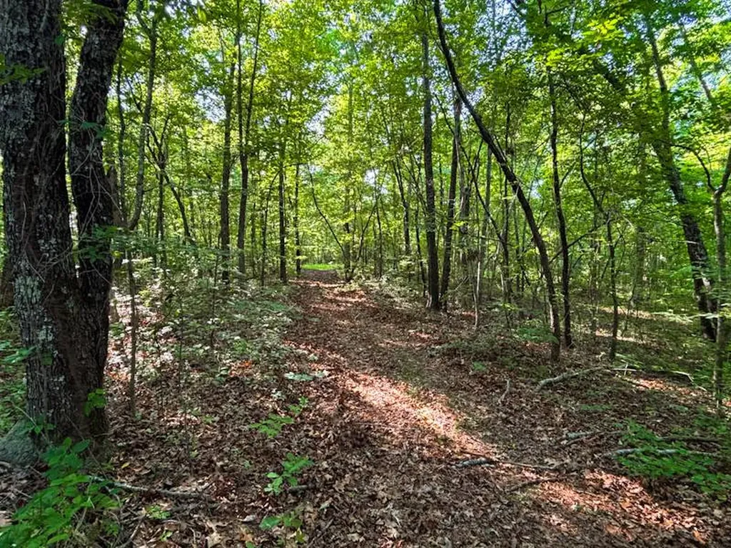 8951 County Road 11 Florence AL 35633