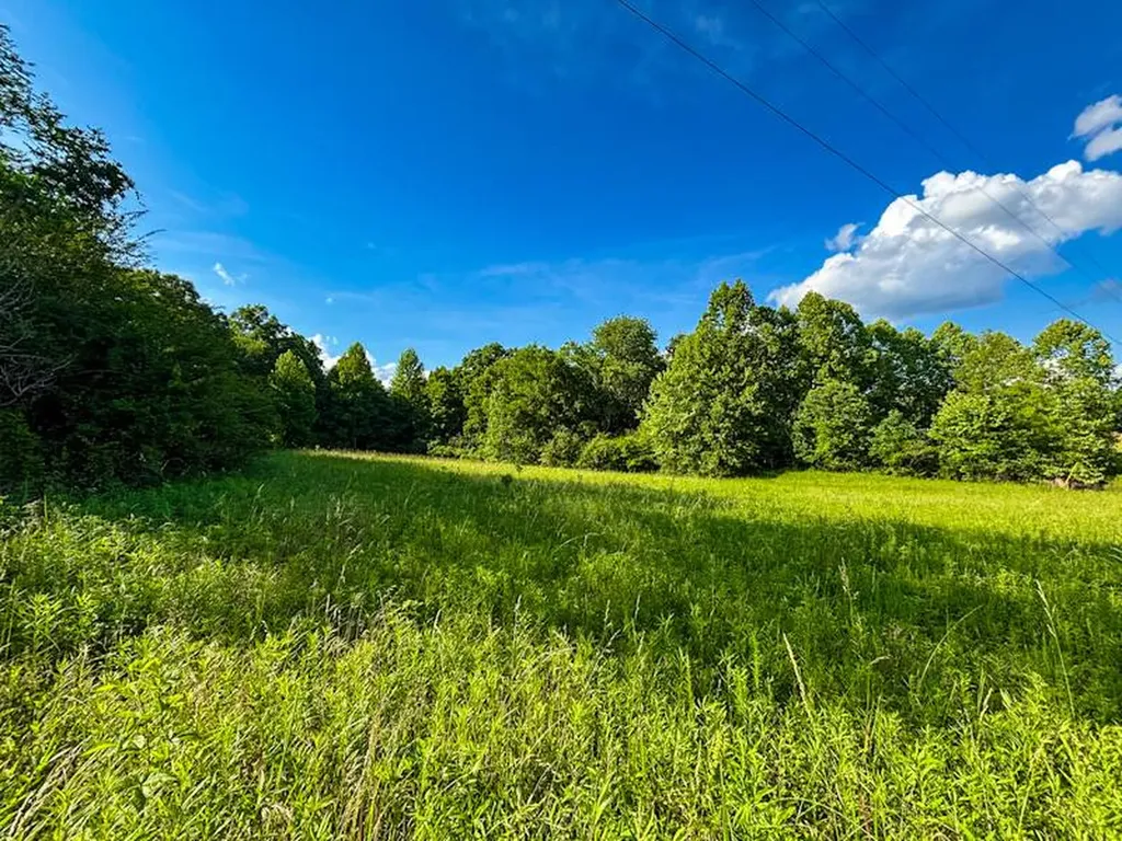8951 County Road 11 Florence AL 35633