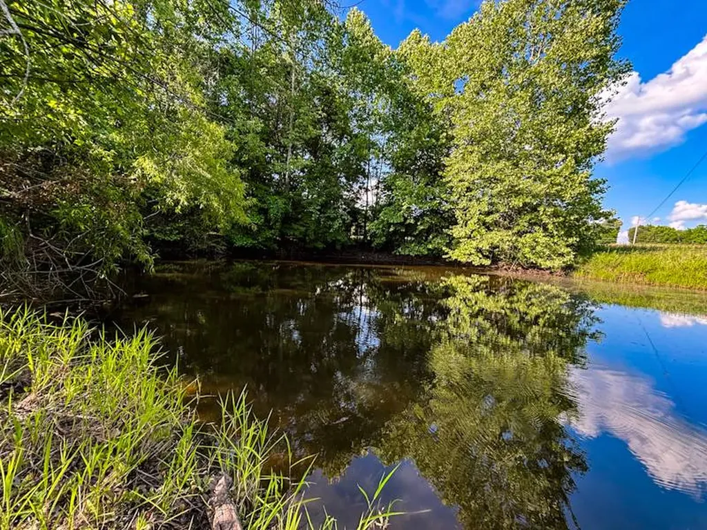 8951 County Road 11 Florence AL 35633