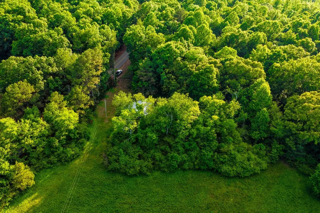 8951 County Road 11 Florence AL 35633