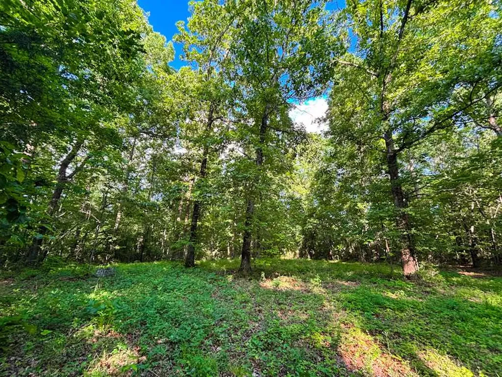 8951 County Road 11 Florence AL 35633