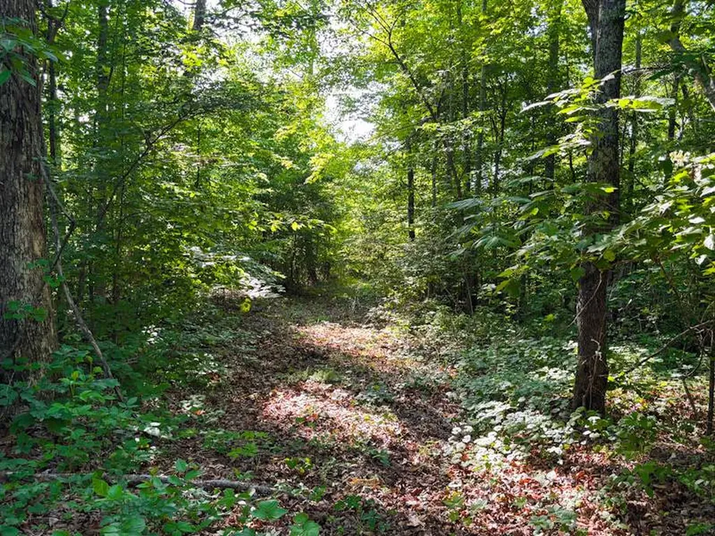 8951 County Road 11 Florence AL 35633