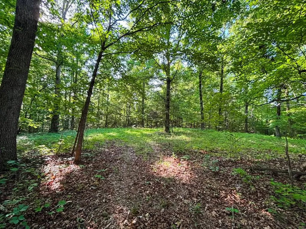 8951 County Road 11 Florence AL 35633
