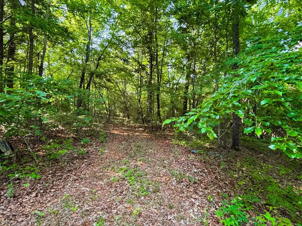 8951 County Road 11 Florence AL 35633