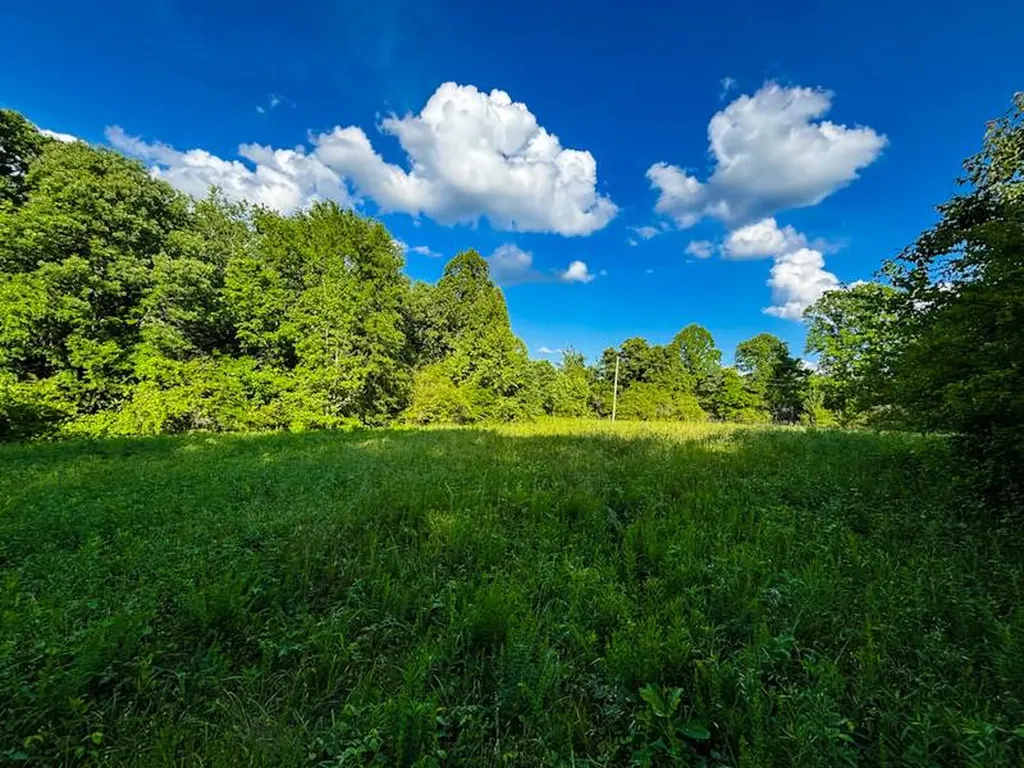 8951 County Road 11 Florence AL 35633