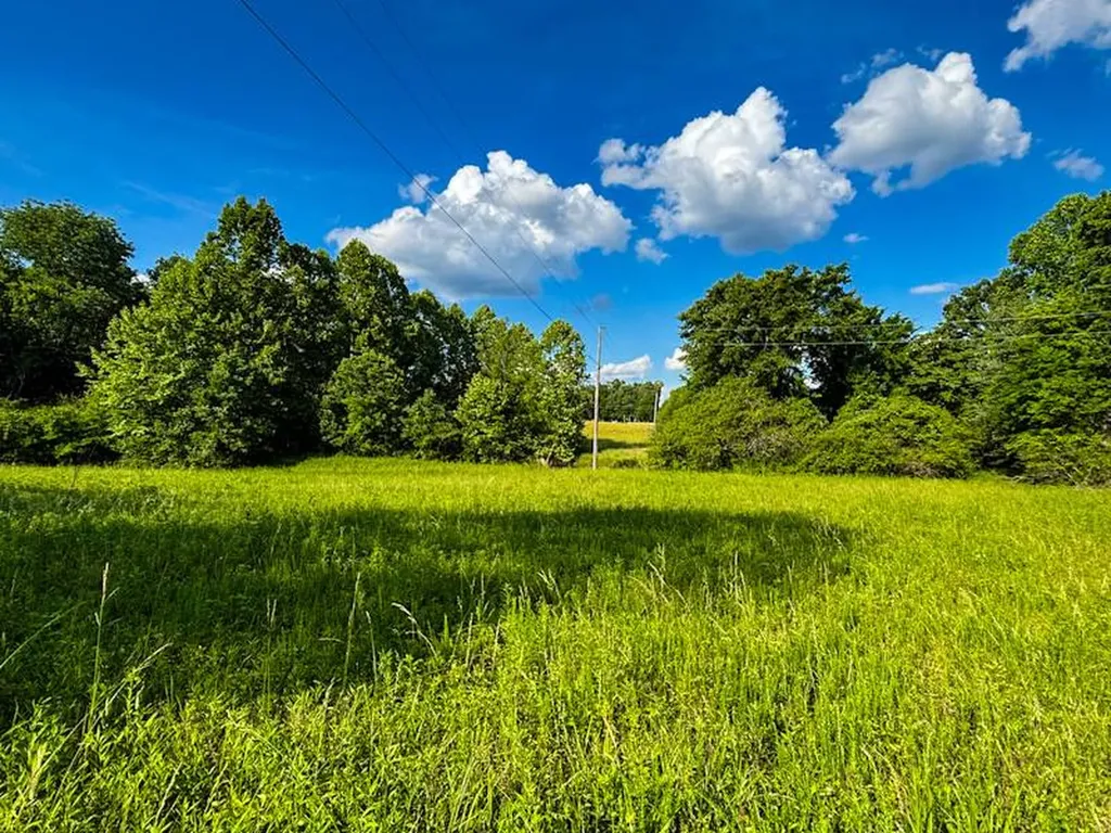 8951 County Road 11 Florence AL 35633