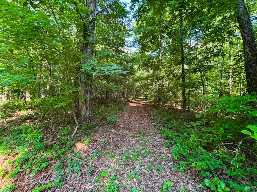 8951 County Road 11 Florence AL 35633