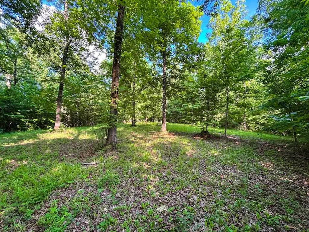 8951 County Road 11 Florence AL 35633
