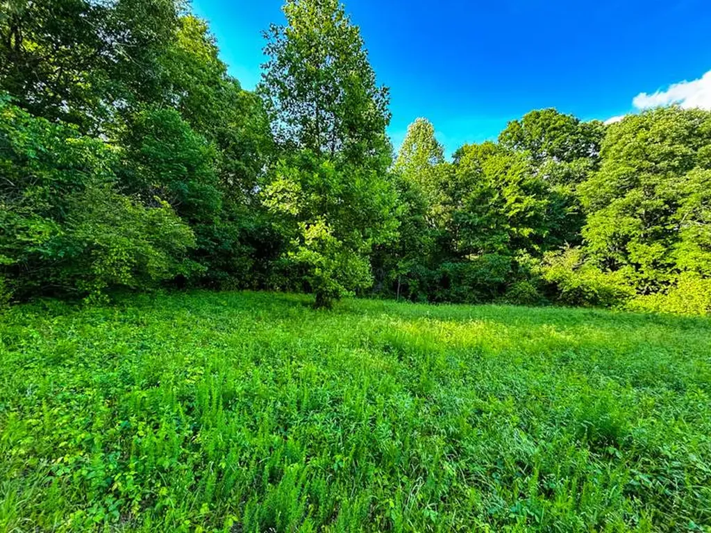 8951 County Road 11 Florence AL 35633
