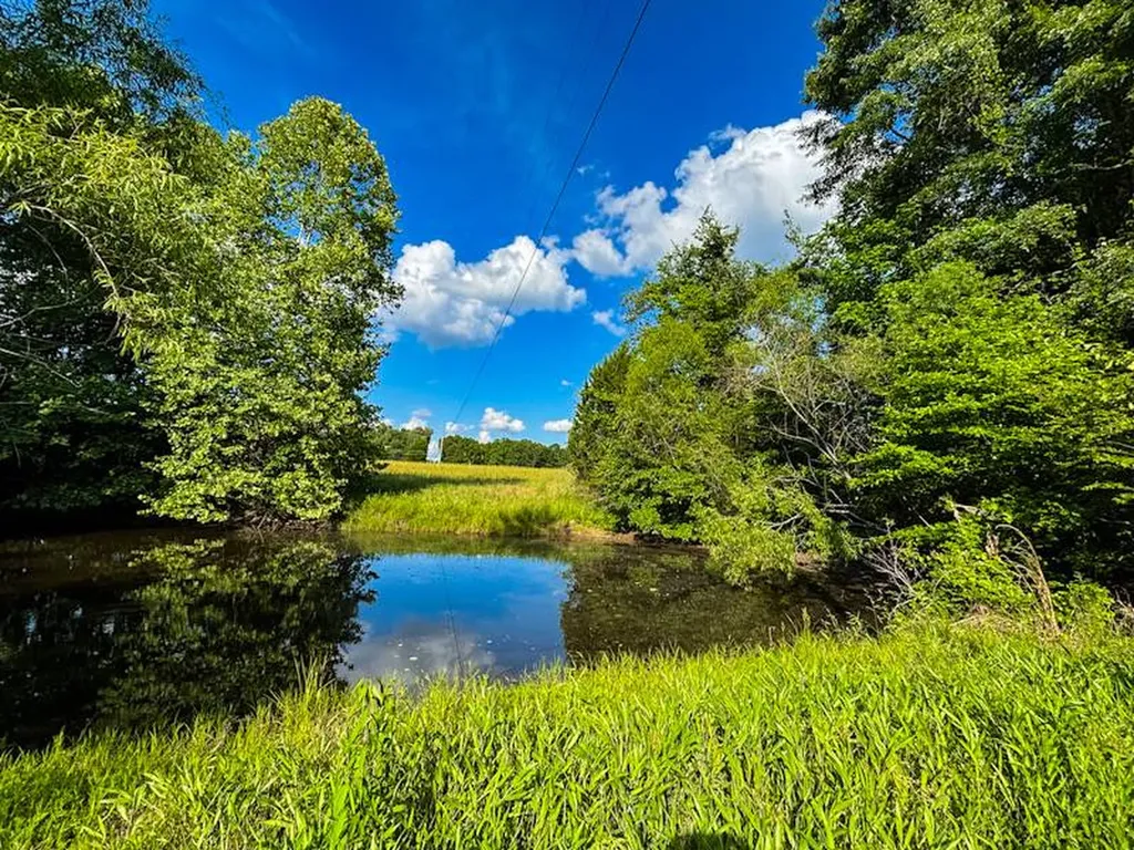 8951 County Road 11 Florence AL 35633