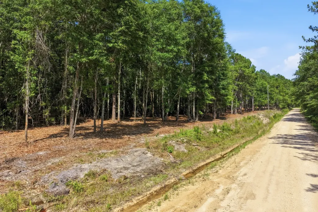 0 Crosby Clark Road Opp AL 36467