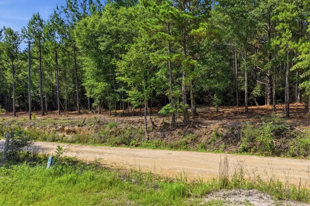0 Crosby Clark Road Opp AL 36467