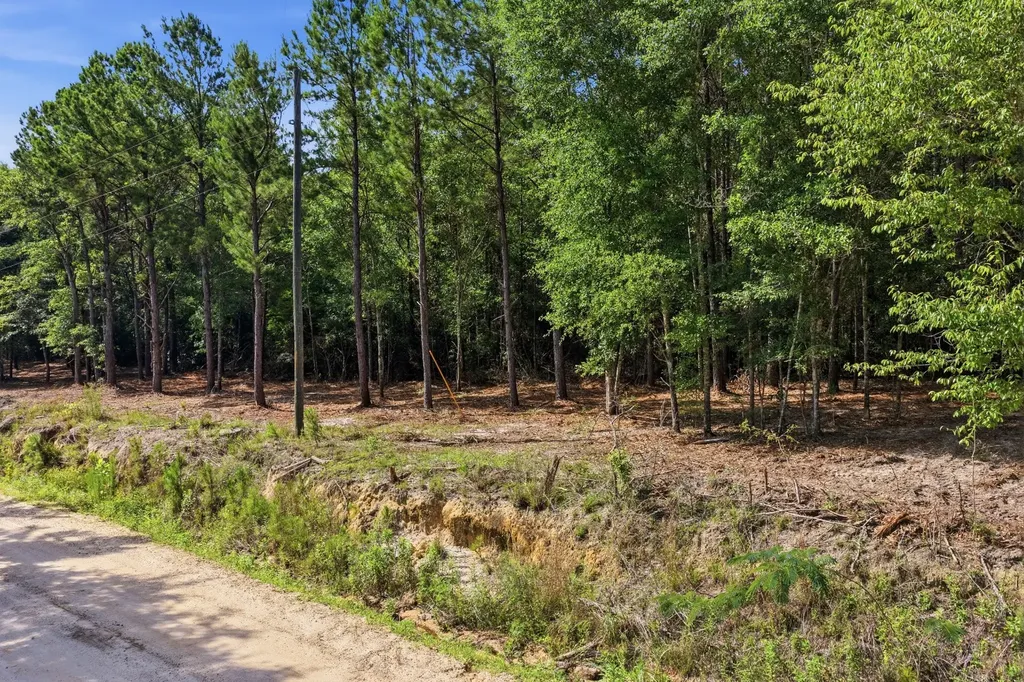 0 Crosby Clark Road Opp AL 36467
