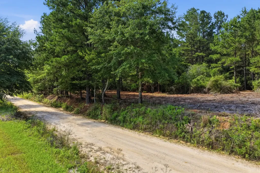 0 Crosby Clark Road Opp AL 36467