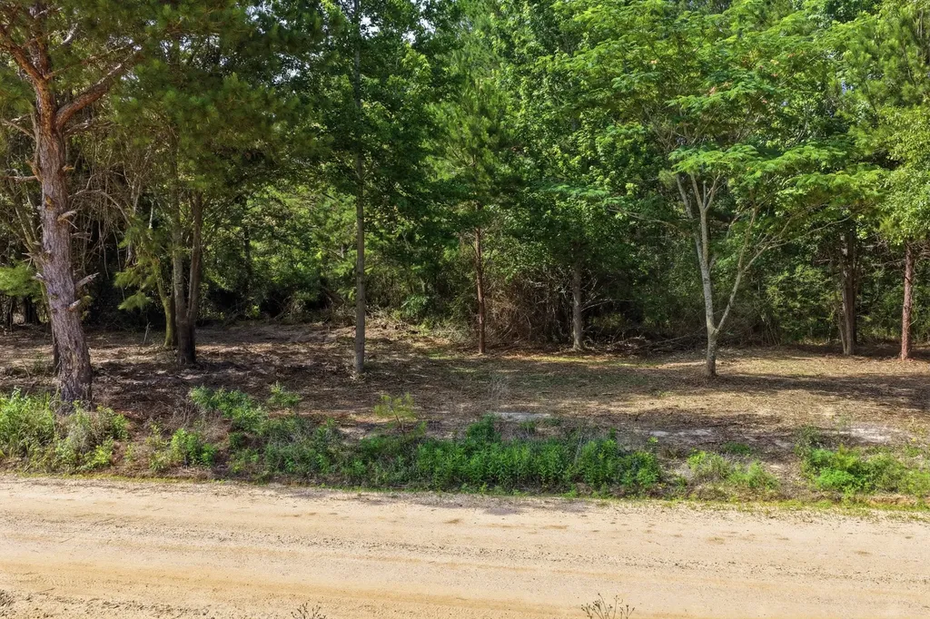 0 Crosby Clark Road Opp AL 36467