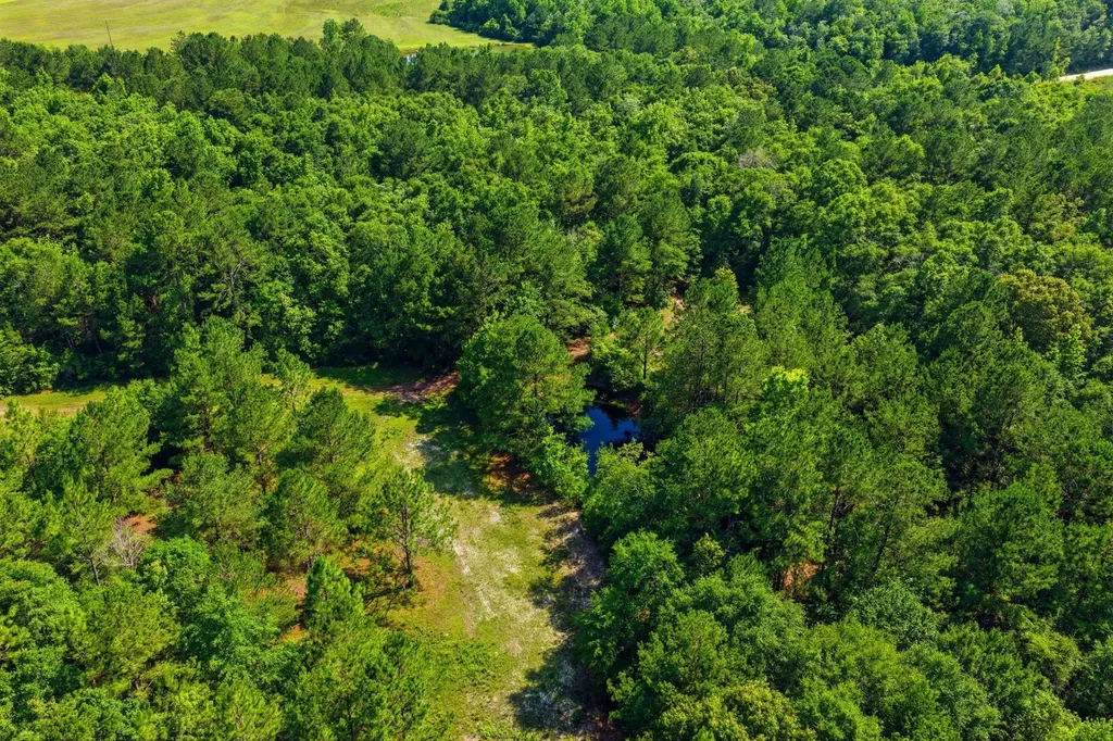 0 Crosby Clark Road Opp AL 36467