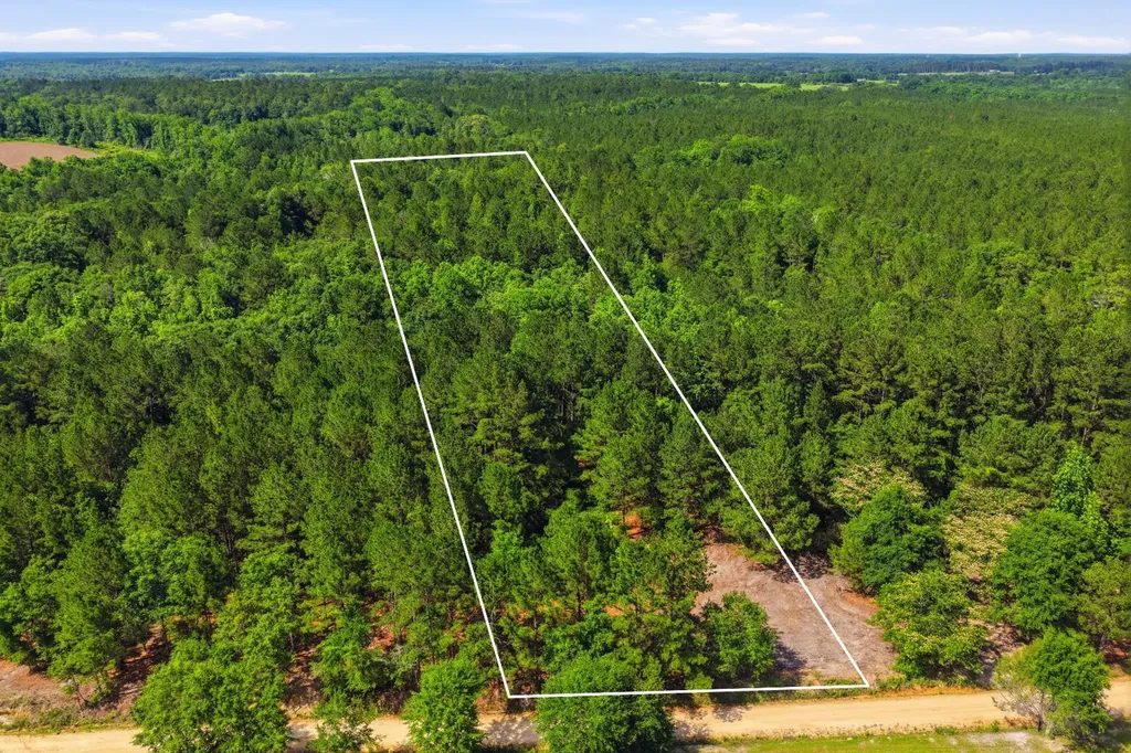0 Crosby Clark Road Opp AL 36467