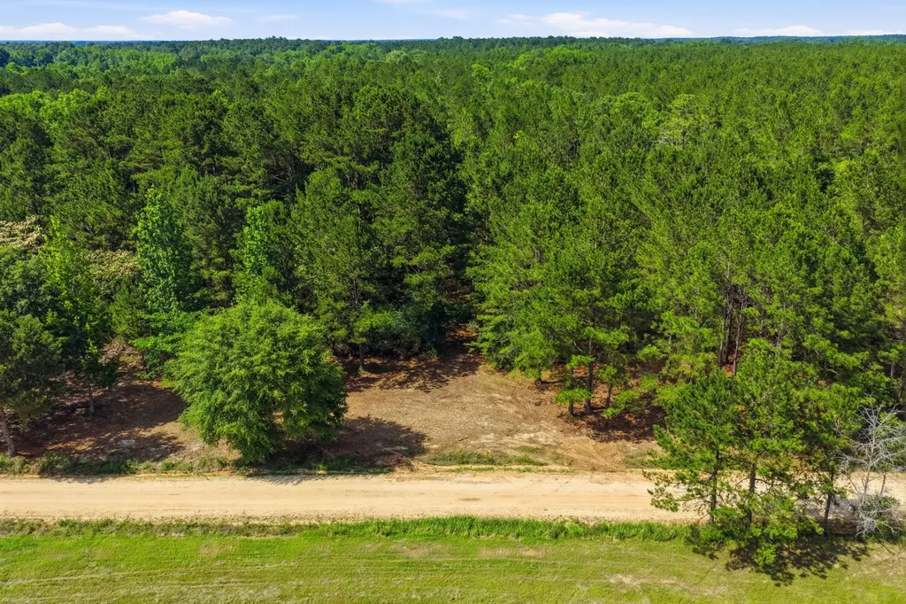 0 Crosby Clark Road Opp AL 36467