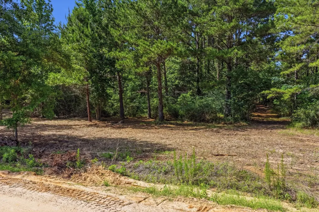0 Crosby Clark Road Opp AL 36467
