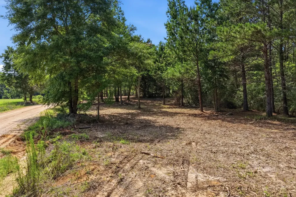 0 Crosby Clark Road Opp AL 36467