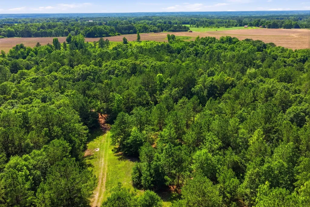 0 Crosby Clark Road Opp AL 36467