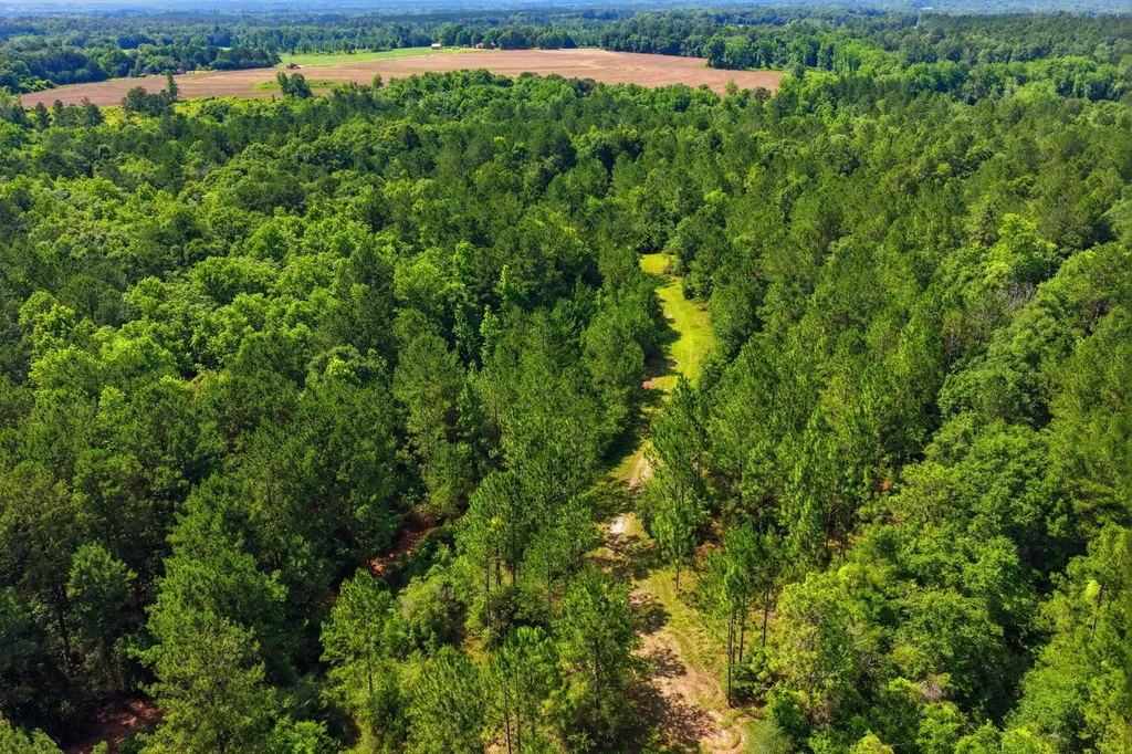 0 Crosby Clark Road Opp AL 36467