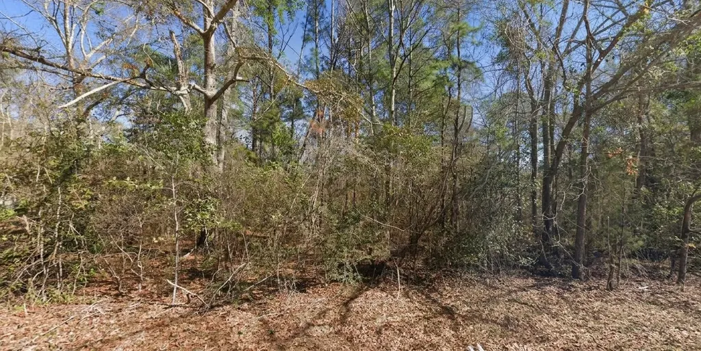 0 Denise Lane Ozark AL 36360