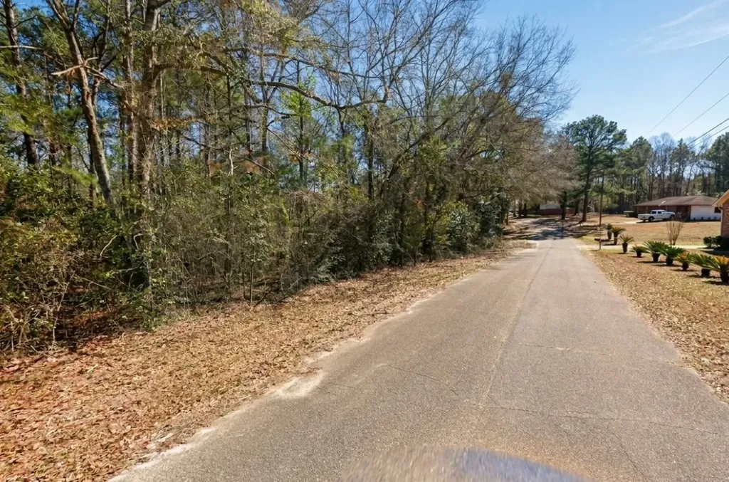 0 Denise Lane Ozark AL 36360