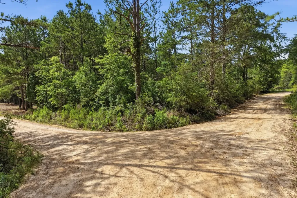 0 Crosby Clark Road Opp AL 36467