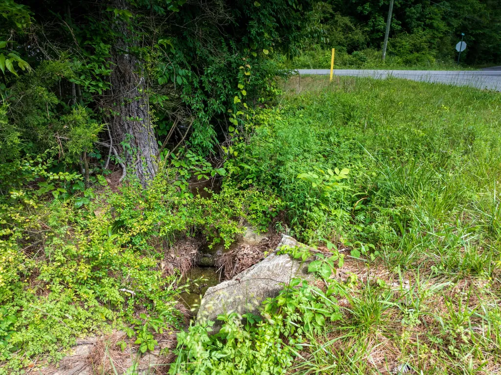 0 Mat Morrow Road Arab AL 35016