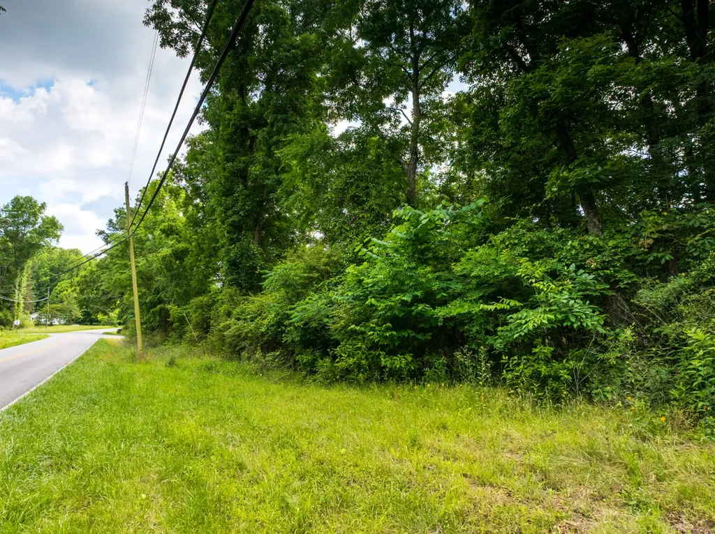 0 Mat Morrow Road Arab AL 35016