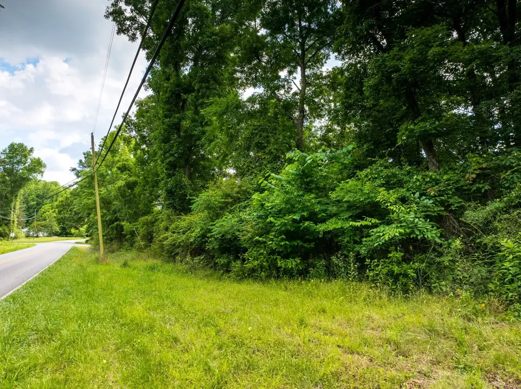 0 Mat Morrow Road Arab AL 35016