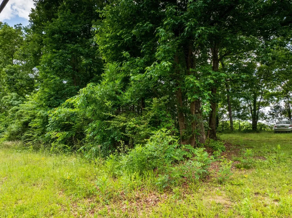 0 Mat Morrow Road Arab AL 35016
