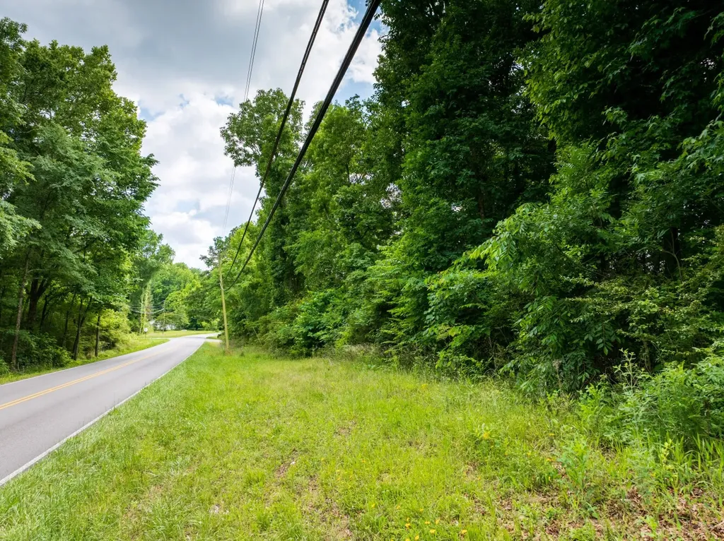 0 Mat Morrow Road Arab AL 35016