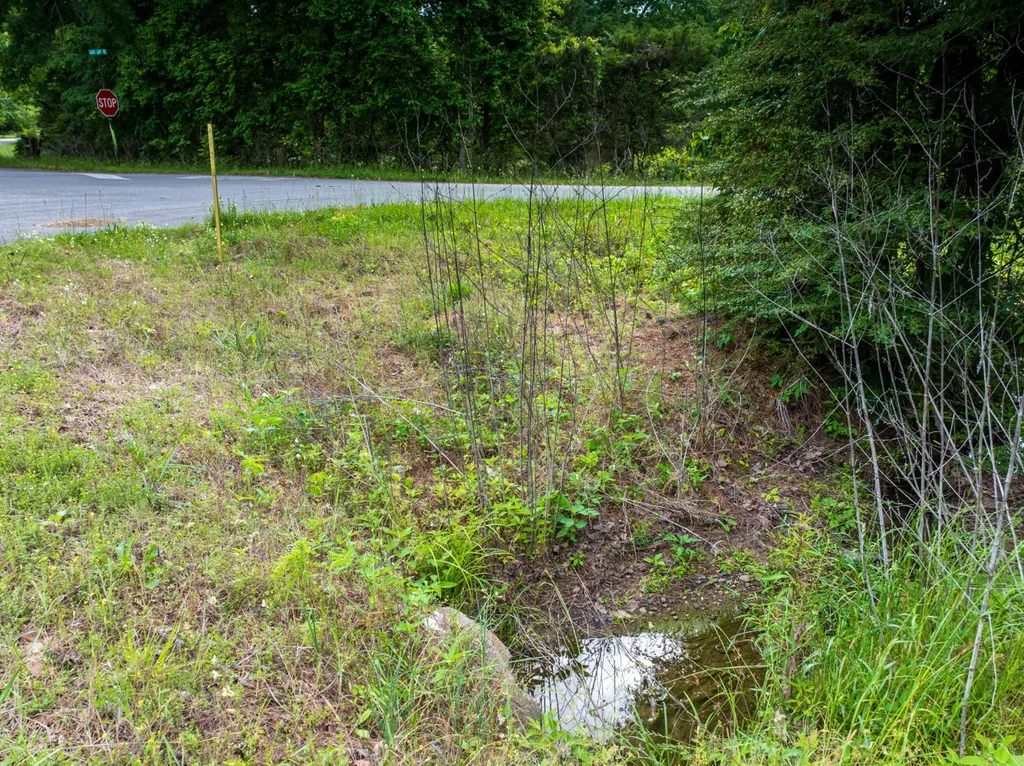 0 Mat Morrow Road Arab AL 35016