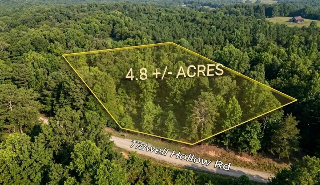 0 Tidwell Hollow Road Tract A Oneonta AL 35121