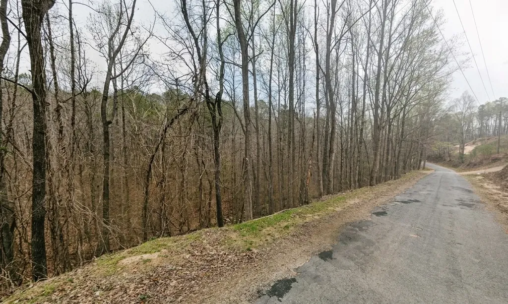0 Tidwell Hollow Road Tract A Oneonta AL 35121