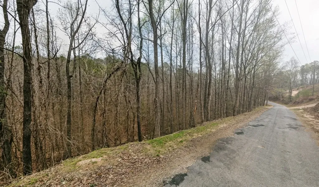 0 Tidwell Hollow Road Tract A Oneonta AL 35121