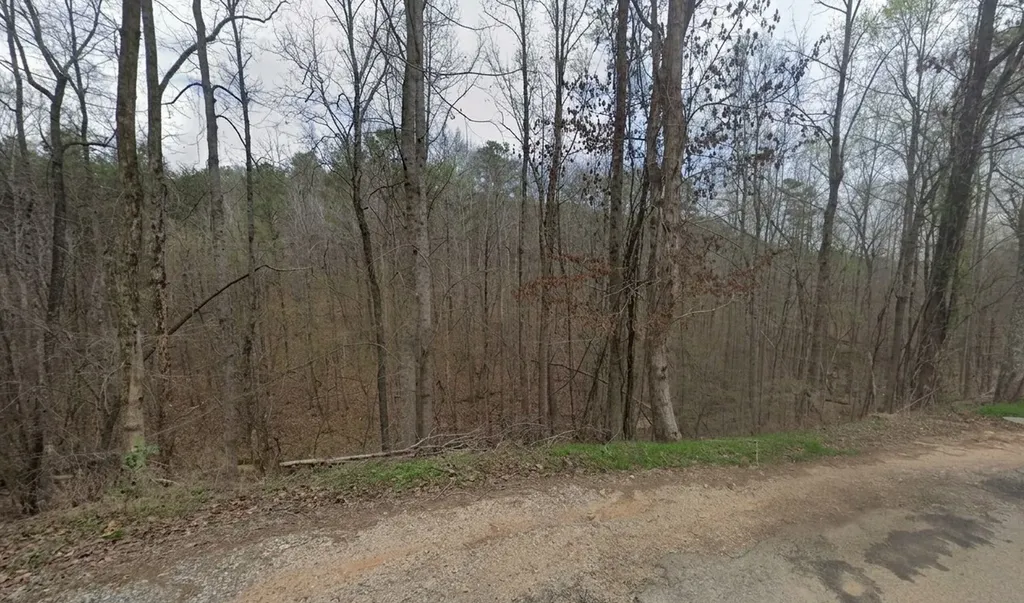 0 Tidwell Hollow Road Tract A Oneonta AL 35121