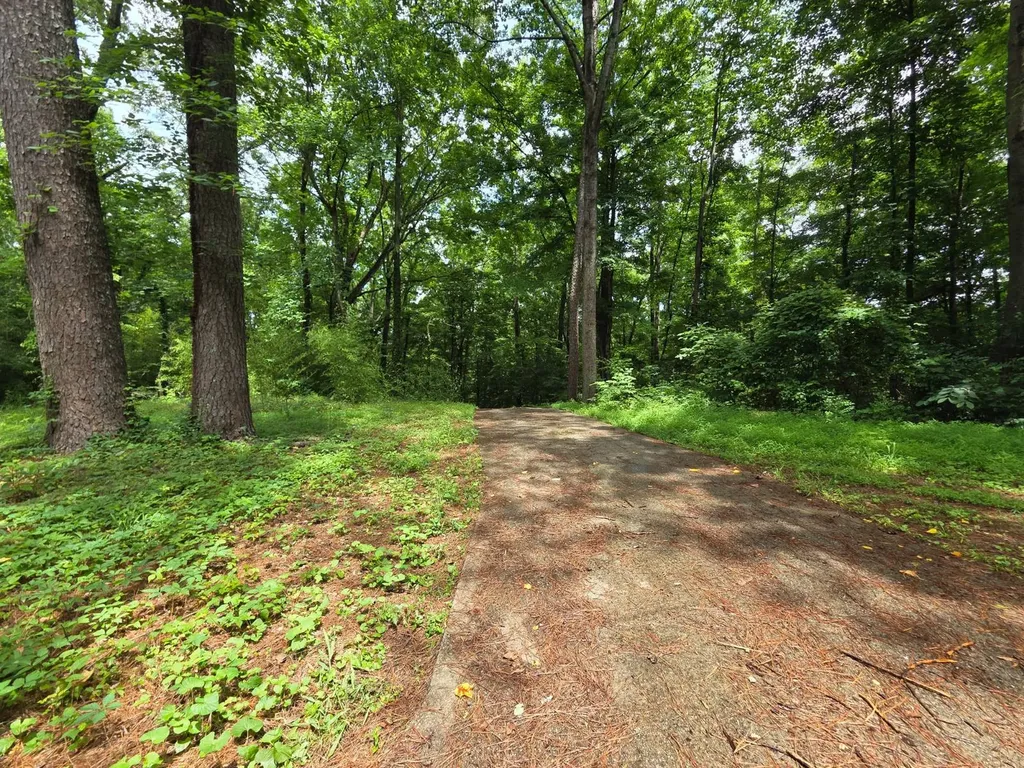 4559 Old Moulton Road Decatur AL 35603