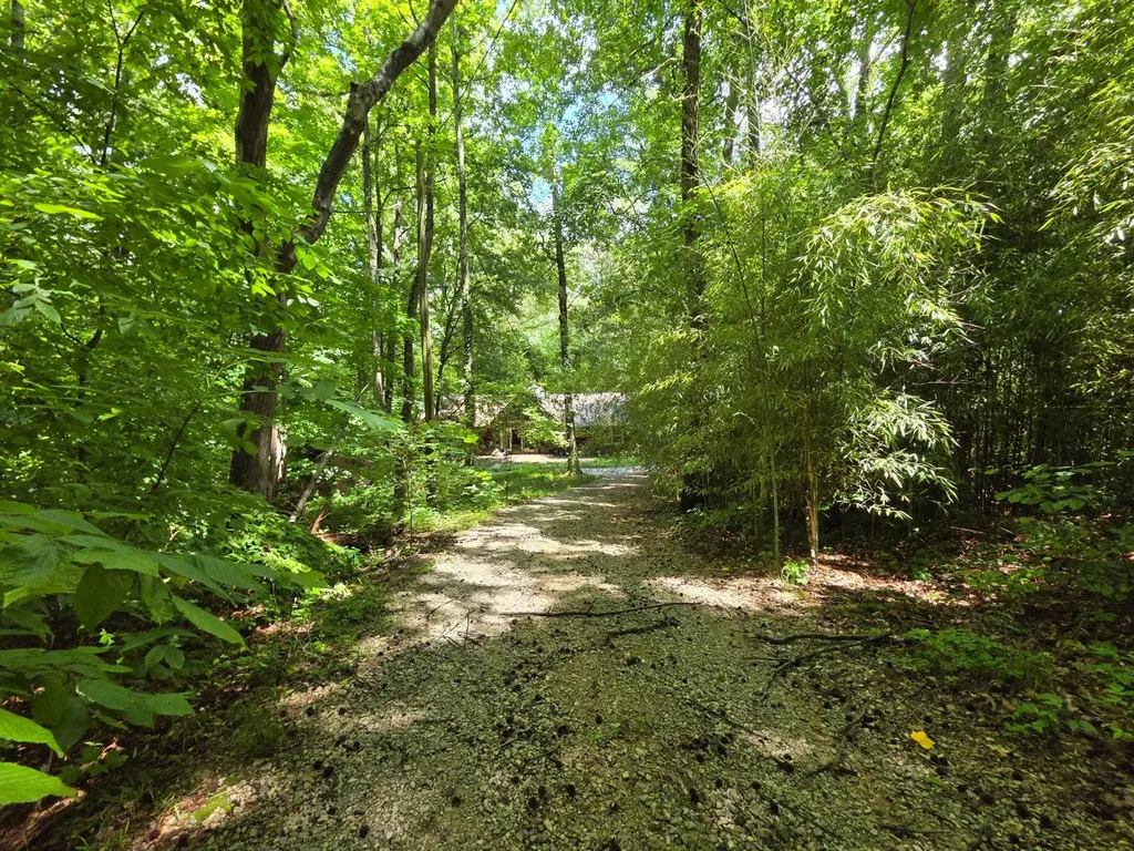 4559 Old Moulton Road Decatur AL 35603