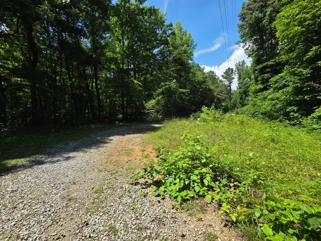 4559 Old Moulton Road Decatur AL 35603