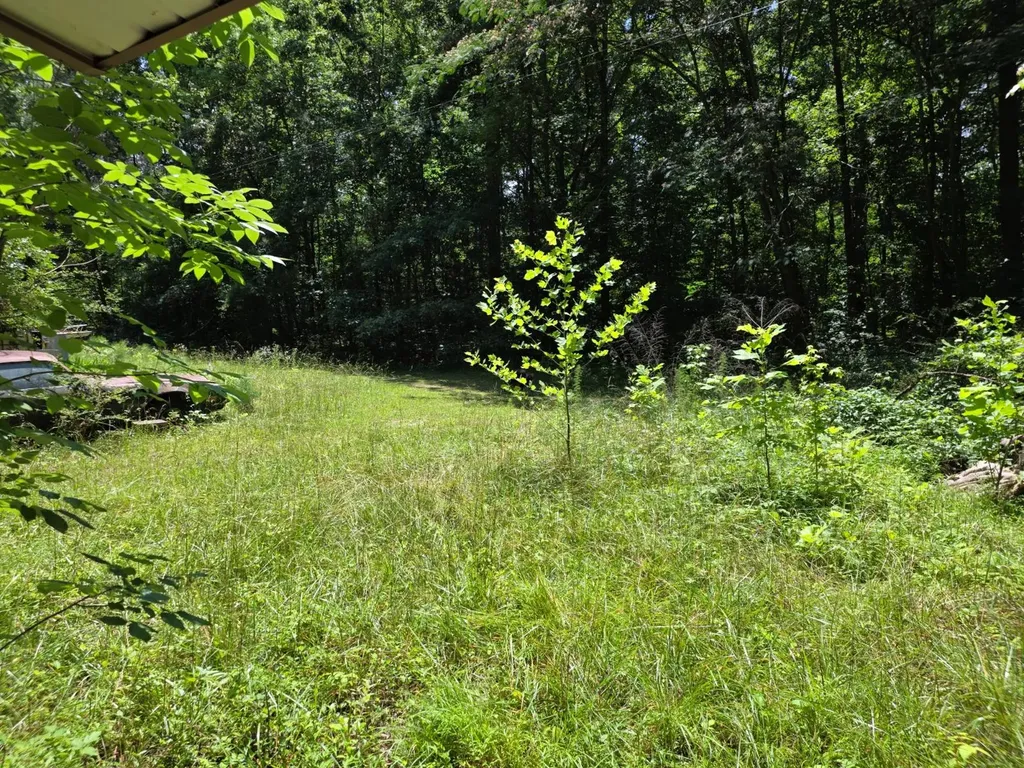 4559 Old Moulton Road Decatur AL 35603