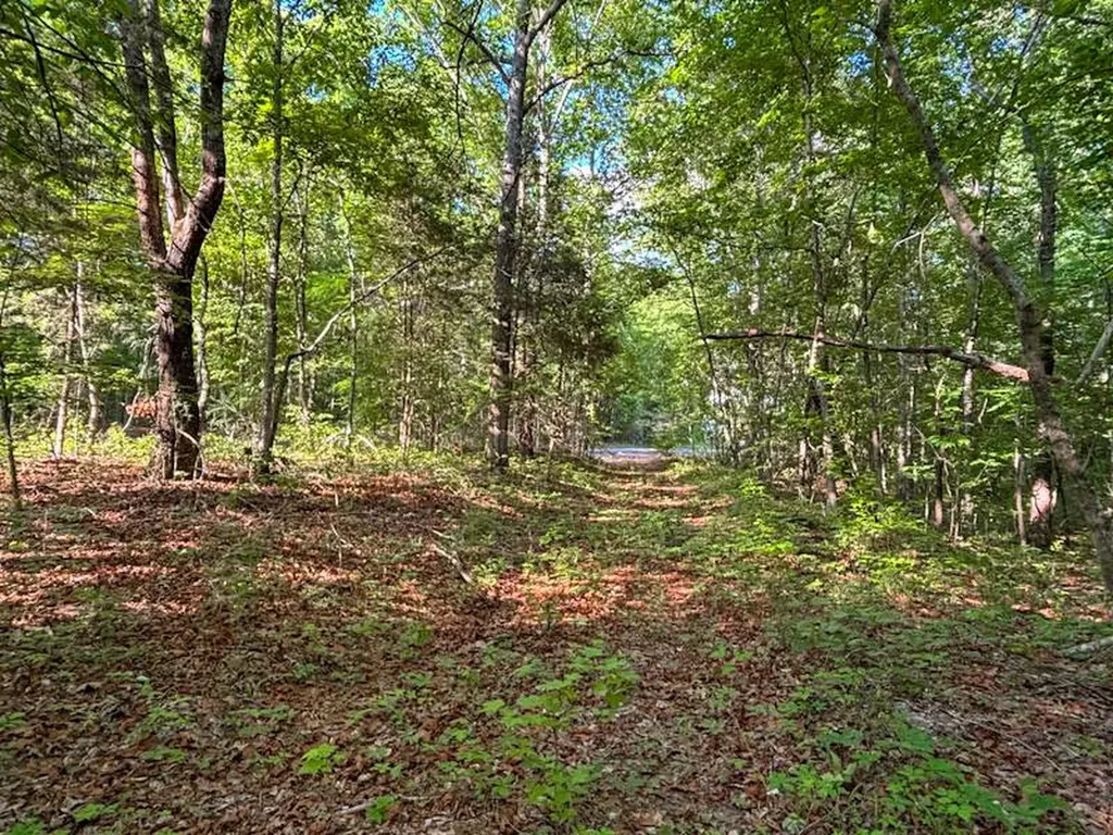 0 County Road 11 Florence AL 35633