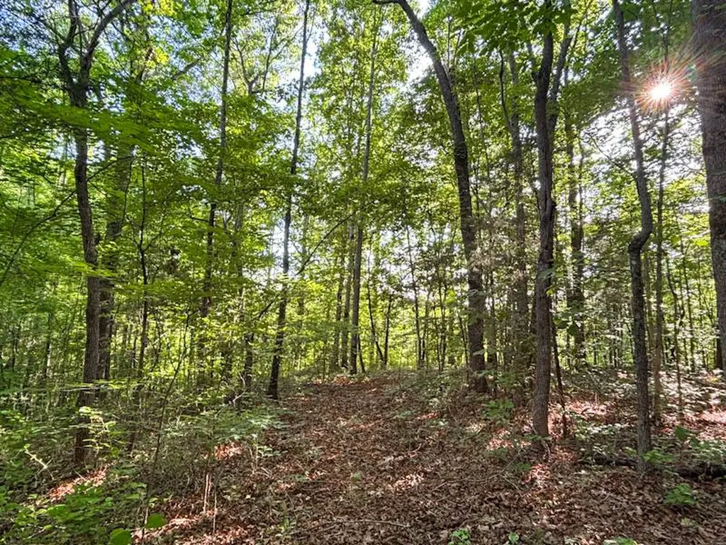 0 County Road 11 Florence AL 35633
