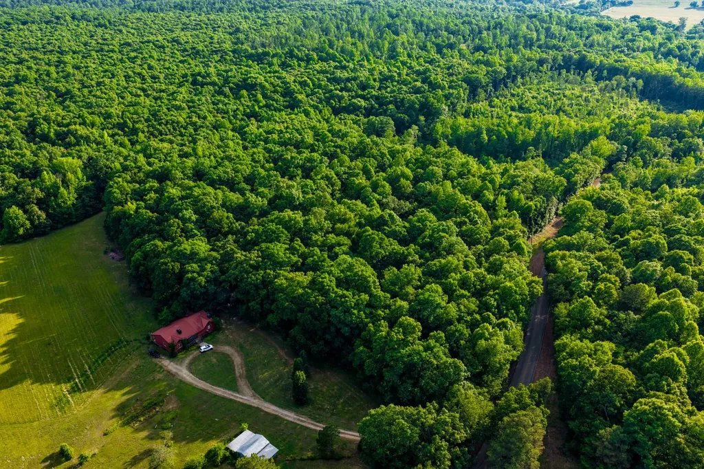 0 County Road 11 Florence AL 35633